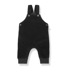 ADOLF-Anthracite