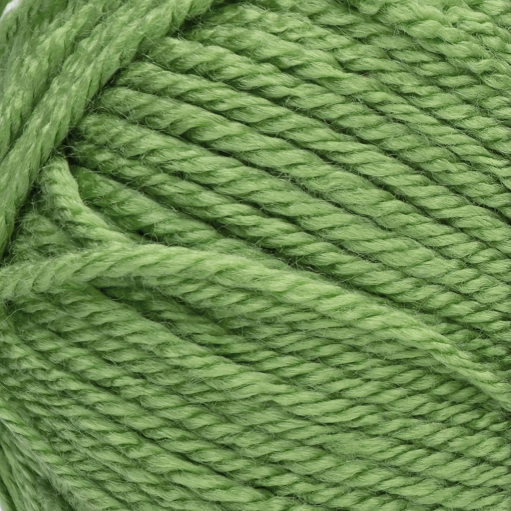 Red Heart Soft Yarn Guacamole